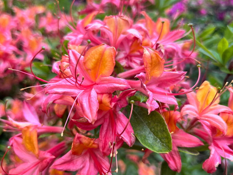 23-06-03 17-04-21 5815